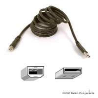Belkin USB EXTENSION CABLE USBA-USBA 1.8M (CU1100VED06)